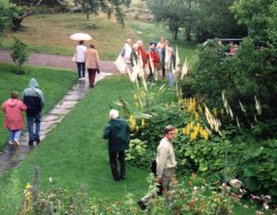 Walking in the rain at the Antroposofic Society gardens, Jarna