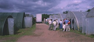Lothar Sachs's nursery&copy;K.Woolfenden