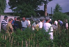 Lothar Sachs's Nursery&copy;K.Woolfenden