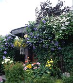 Garden of Mr Fuchs&copy;K.Woolfenden