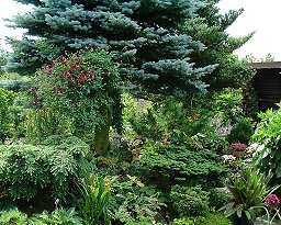 Garden of Mr Fuchs&copy;K.Woolfenden