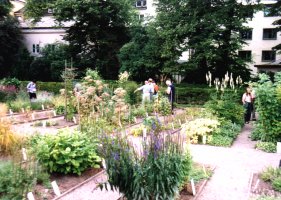 Linnean garden in Uppsala