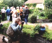 Me photographing Clematis columella