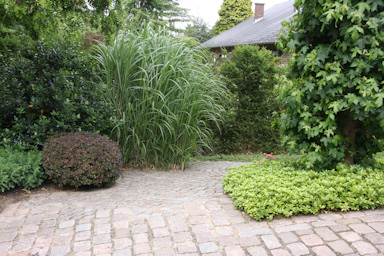 Janssen-Meyers garden&copy;Ken Woolfenden