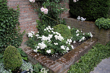 Janssen-Meyers garden&copy;Ken Woolfenden