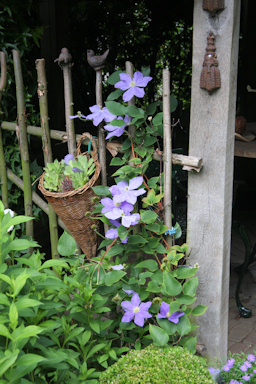 Janssen-Meyers garden&copy;Ken Woolfenden