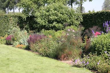 Demen garden&copy;Ken Woolfenden