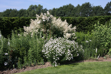 Demen garden&copy;Ken Woolfenden