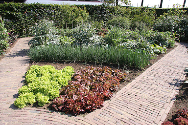 Demen garden&copy;Ken Woolfenden