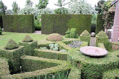 Garden without name
