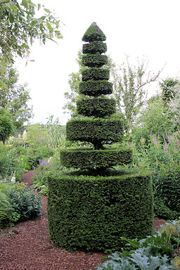 Garden without name