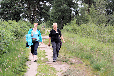 De Groote Peel National Park
