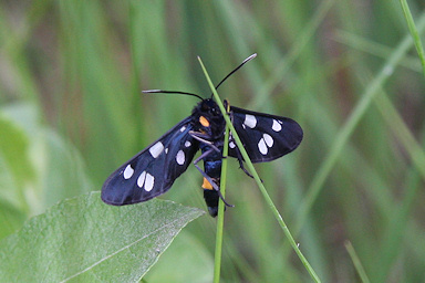 De Groote Peel National Park