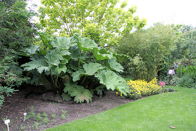 Garden of Annie and Frans Peeters