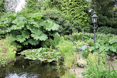 Garden of Annie and Frans Peeters