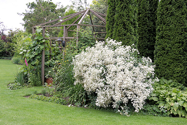 Garden of Annie and Frans Peeters
