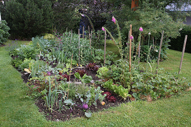 Garden of Mrs Kollegger - flower bed