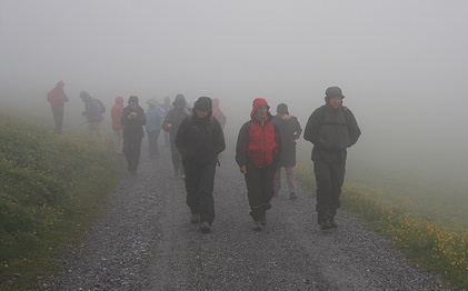 The mist closes in