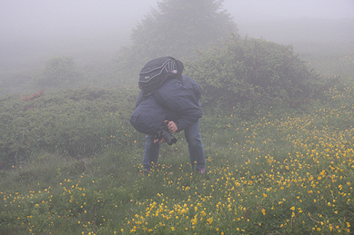 Nothing stops a photographer