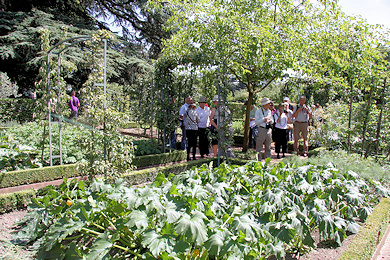 The vegetable plot - garden of Mme Moser