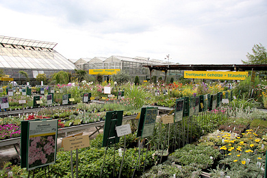 Main plant sales area at Garden Centre Ernst Meier