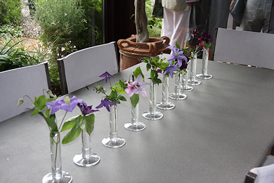 Clematis on display at garden of Marianne and Fisch Fistarol