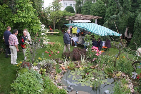 Stabler garden - pond