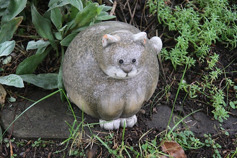 Cat sculpture in the Hefele garden