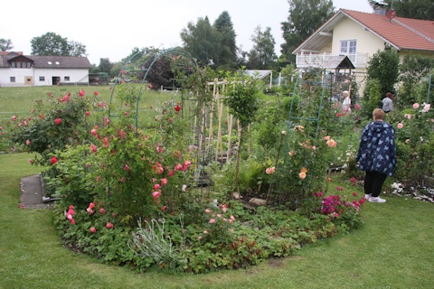 Schmid garden - flowerbed