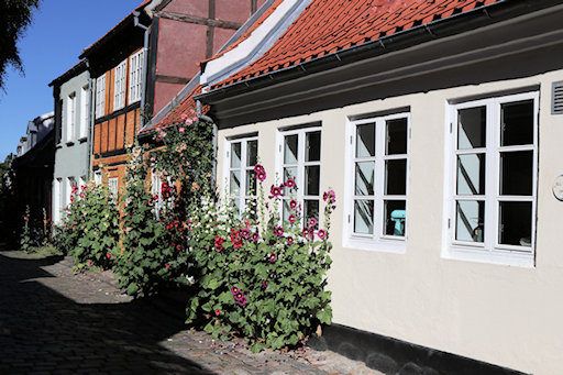 M&oslash;llestien, lined with small quaint old houses, hollyhocks and roses&copy;Ken Woolfenden