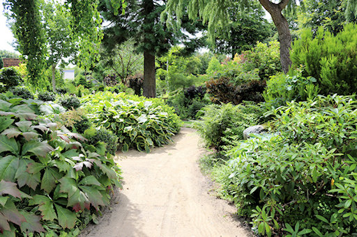 Winding paths through the flowerbeds&copy;Ken Woolfenden