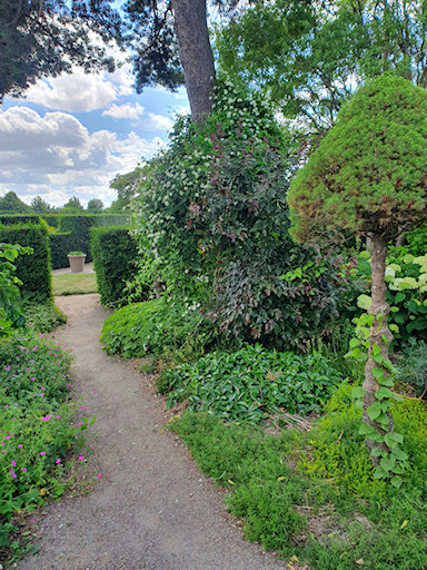 Path to the Perennial Flower Garden with clematis on the right&copy;Fiona Woolfenden