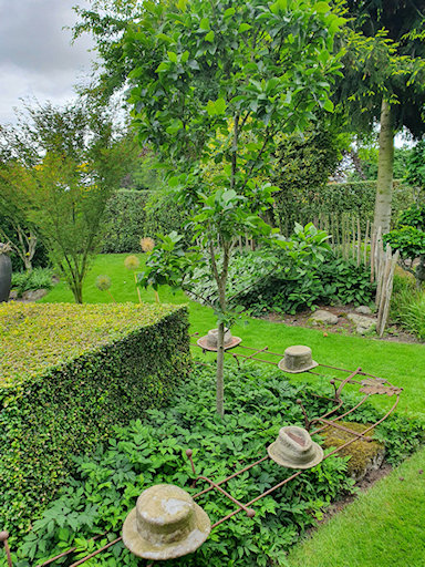 An unusual focal point!&copy;Fiona Woolfenden