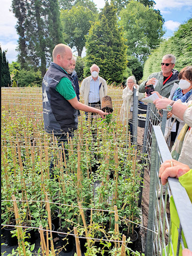 Mathias shows us a healthy root from the grafting process&copy;Fiona Woolfenden