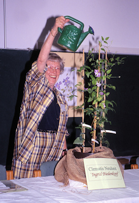 Edith Schmidt presenting Clematis 'Ingrid Biedenkopf' in Pillnitz, 2000©Ken Woolfenden