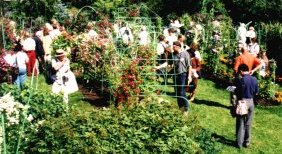 The Kivistik Nursery Show Garden