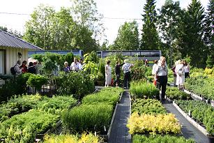 Nurga conifer and shrub nursery