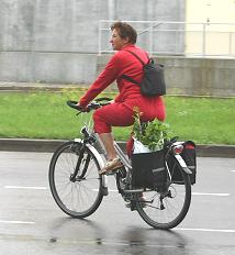 Clematis transport !