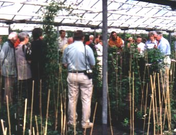 I.Cl.S. Members being shown round Guernsey Clematis Nursery by Raymond Evison, on the right