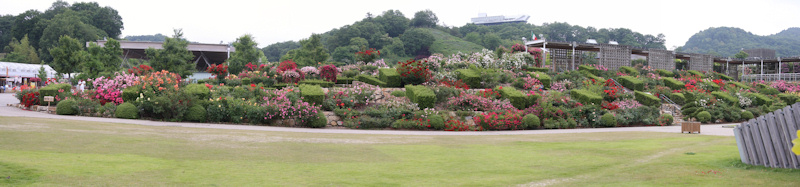 Hana Festa Memorial Park (Flower Festival Commemorative Park)