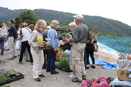 Avid buyers at Nursery in Ena Mountains