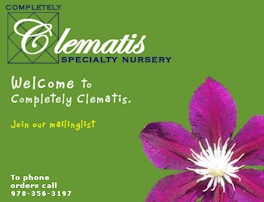 Completely Clematis