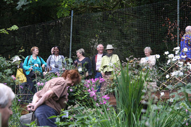 Garden of Doris Starrett©K.Woolfenden