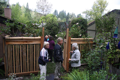 Garden of Doris Starrett©K.Woolfenden