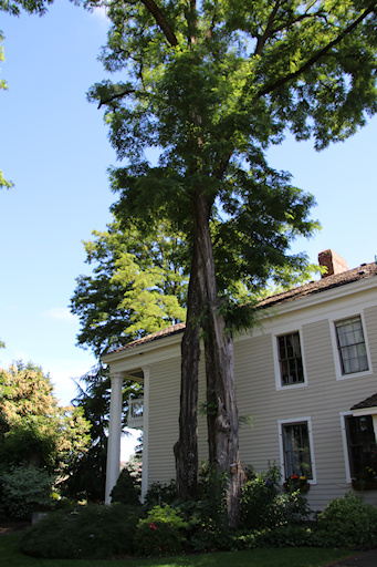Ainsworth House - Greek Revival style&copy;Ken Woolfenden
