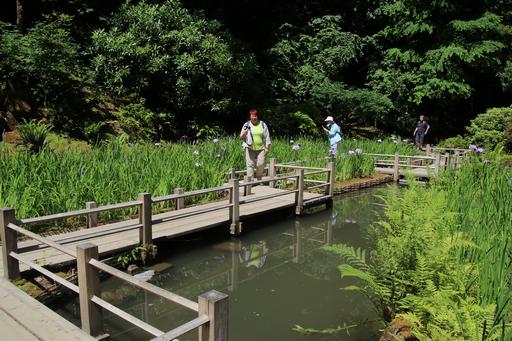 Zig-Zag Bridge in Strolling Pond Garden, Lower Pond&copy;Ken Woolfenden