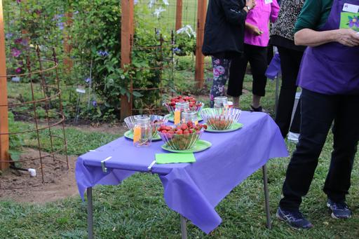 Solstice Strawberry Tasting&copy;Ken Woolfenden