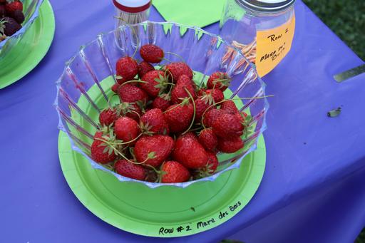 Solstice Strawberry Tasting&copy;Ken Woolfenden