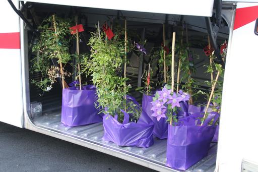 A few plants to take home!&copy;Ken Woolfenden