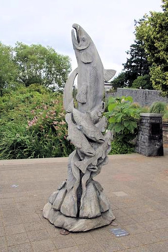 Gallery Without Walls - Salmon Romance&copy;Ken Woolfenden